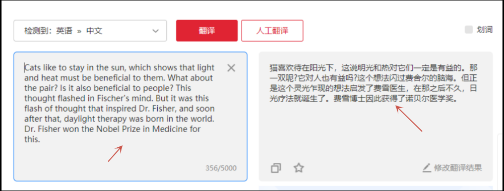 有道词典在线翻译鳄鱼：精准区分Crocodile与Alligator的终极解析